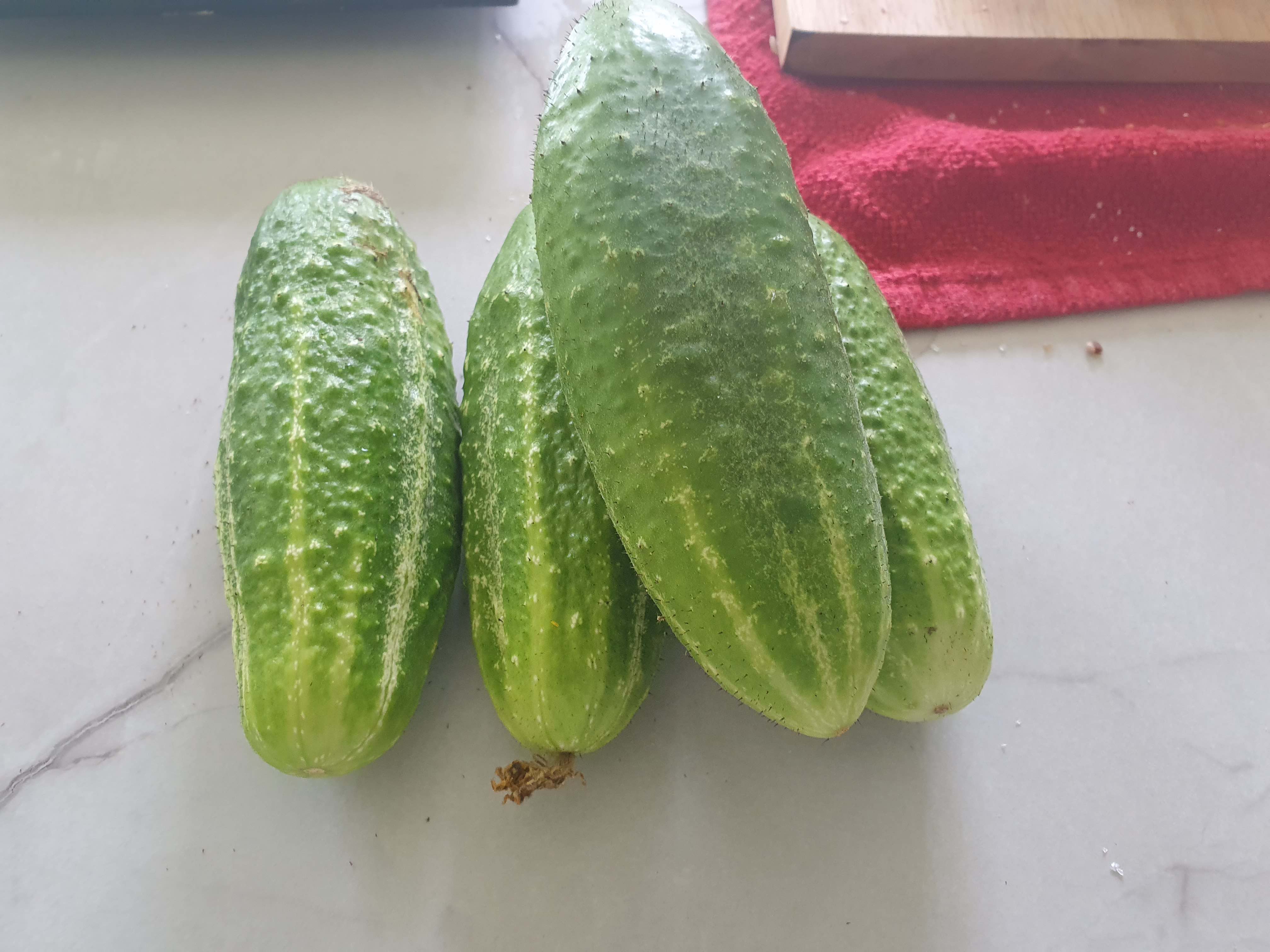 Have Too Many Cucumbers? Here's What To Do With Extra Cucumbers!